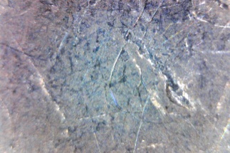 2005-D-Buffalo-Nickel---Peeing-Buffalo?