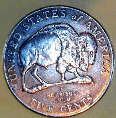 2005-D-Buffalo-Nickel---Peeing-Buffalo?
