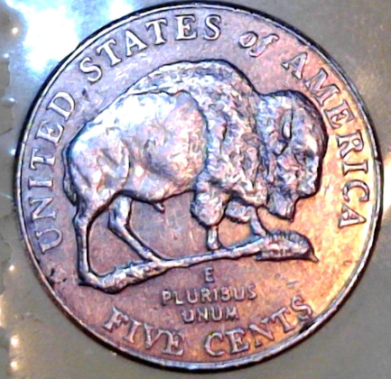 2005-D-Buffalo-Nickel---Peeing-Buffalo?