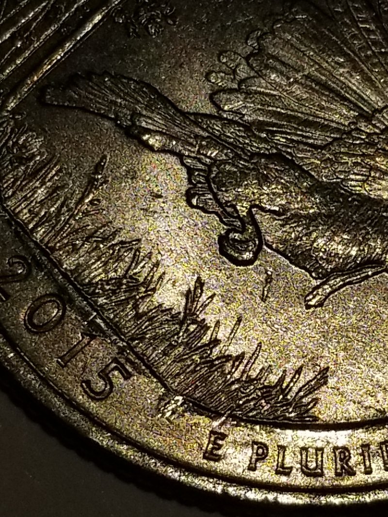 2015-Louisiana-State-Quarter-Error