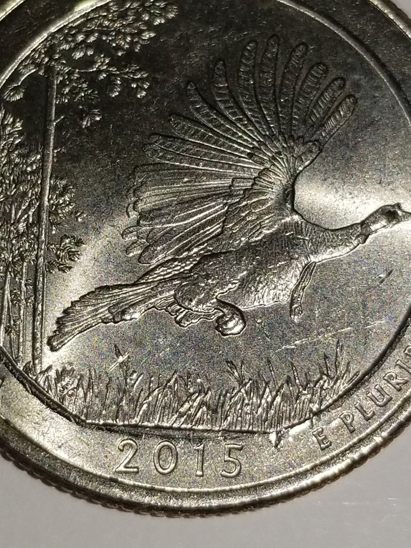 2015-Louisiana-State-Quarter-Error