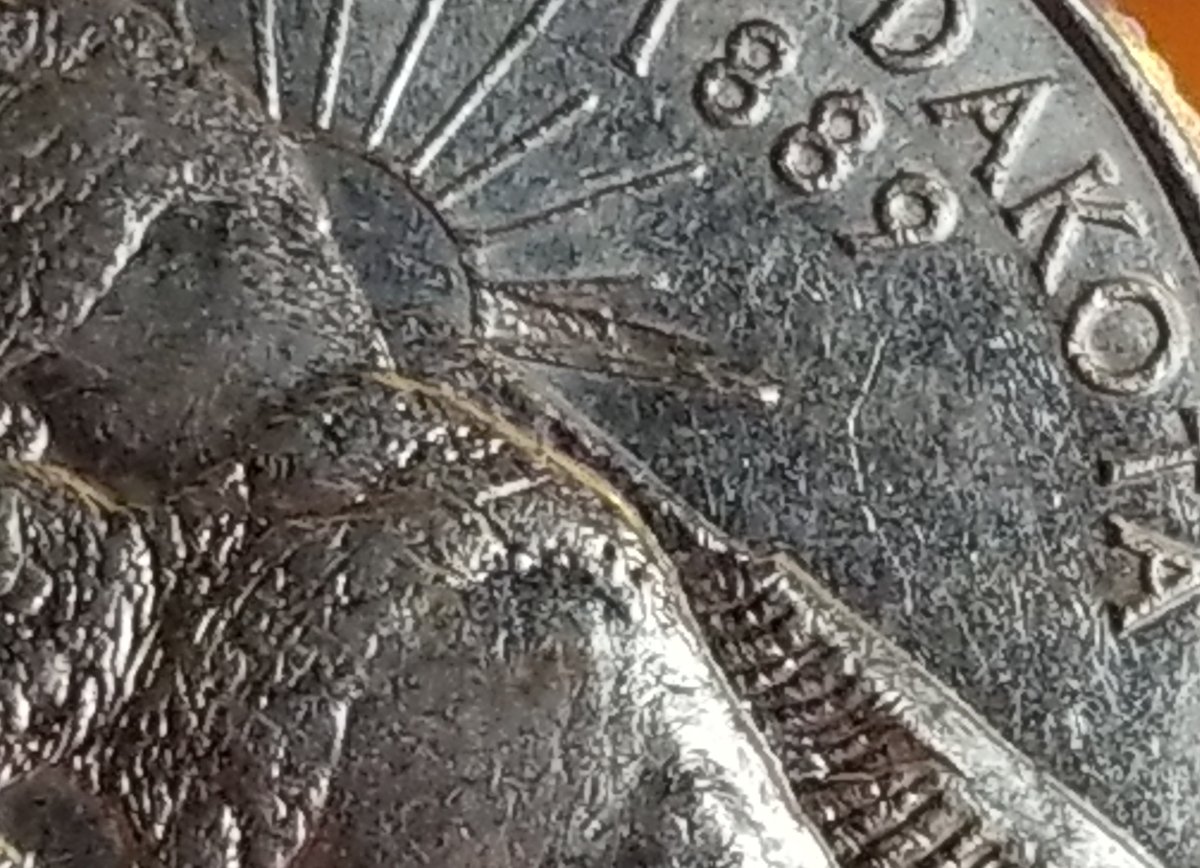 2006-North-Dakota-State-Quarter-With-Possible-Error