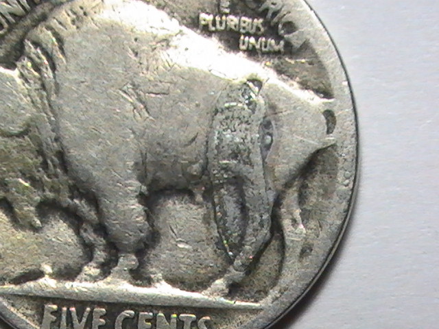 Bufflo-Nickle-Error?