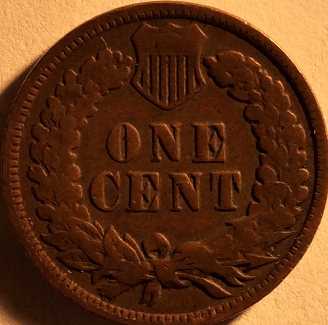 1902-Indian-Head-Cent-Found-In-Circulation.