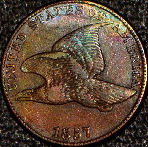 Official-Coin-Community-Toned-Classic-US-Coins