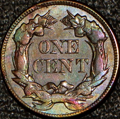 Official-Coin-Community-Toned-Classic-US-Coins
