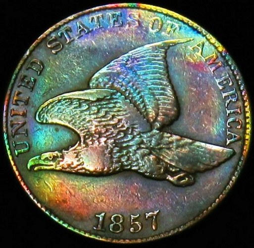Official-Coin-Community-Toned-Classic-US-Coins