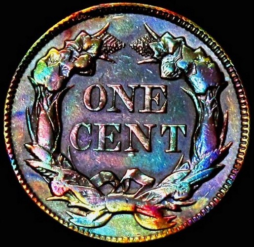 Official-Coin-Community-Toned-Classic-US-Coins
