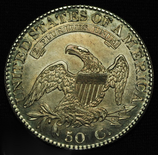 1824-Capped-Bust-Half---DDO---Variety?