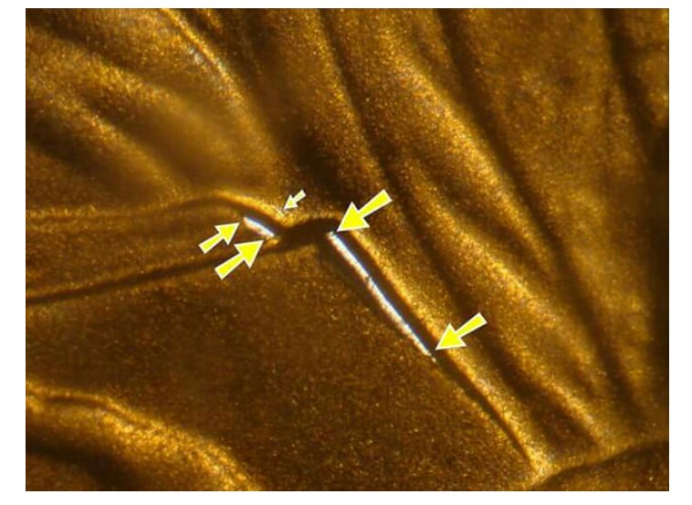 2009-Proof-Lincoln-Cents-Struck-On-Zinc-Planchets.