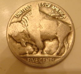 Buffalo-Nickel-Error?