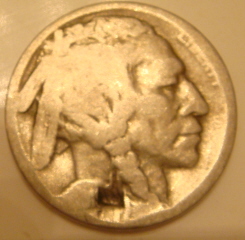 Buffalo-Nickel-Error?