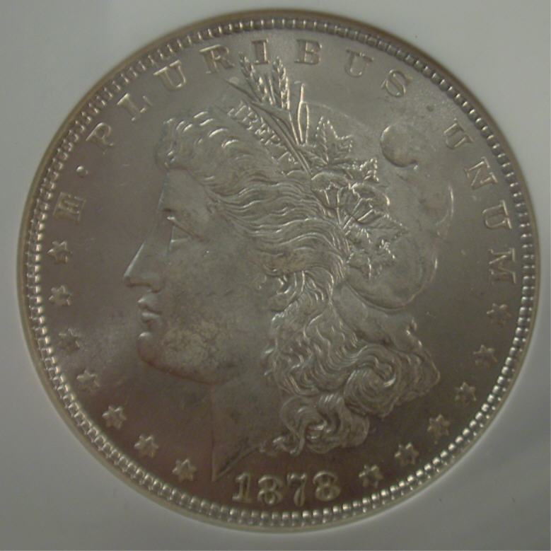 Questions-About-1878-P-7TF