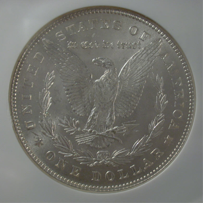 Questions-About-1878-P-7TF