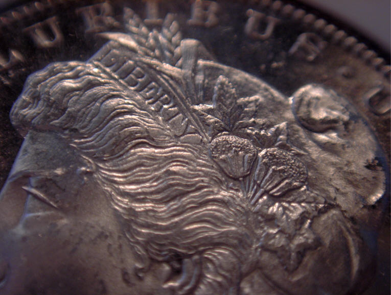 Morgan-Counterfeit???
