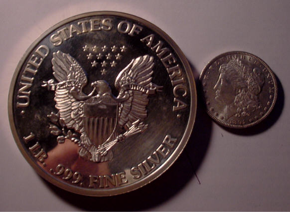 If-You-Were-Bit-By-A-Really-Really-Really-Big-Silver-Bug!