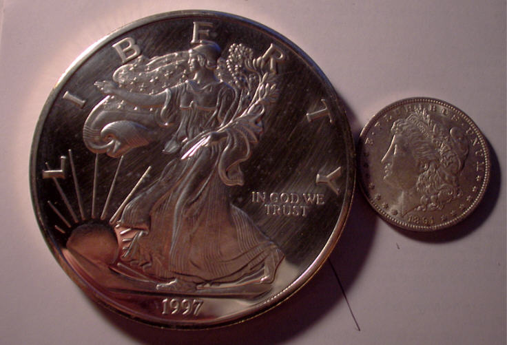 If-You-Were-Bit-By-A-Really-Really-Really-Big-Silver-Bug!