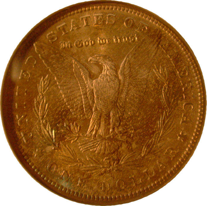 What-Do-You-Grade-This-Morgan?