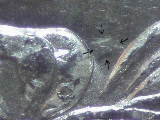 VAM17-Or-VAM17A-?