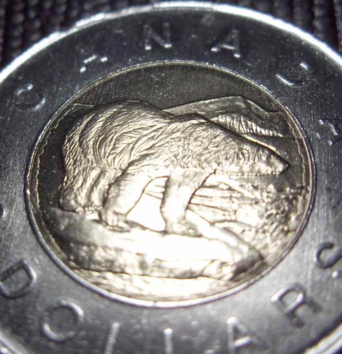 2008-Bear-Toonie-Errors