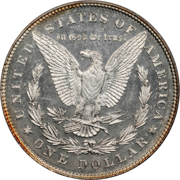 28-Days-Of-Morgans