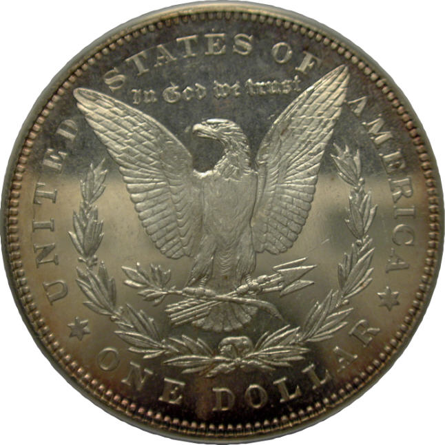 28-Days-Of-Morgans