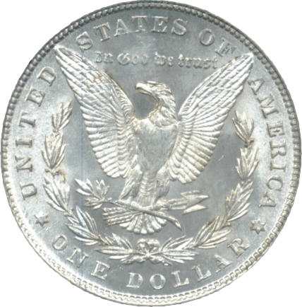 28-Days-Of-Morgans