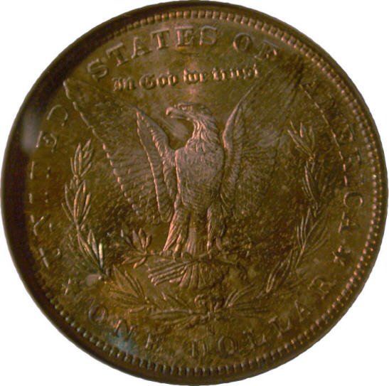 28-Days-Of-Morgans
