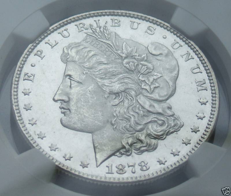 Newest-Ebay-Purchase!