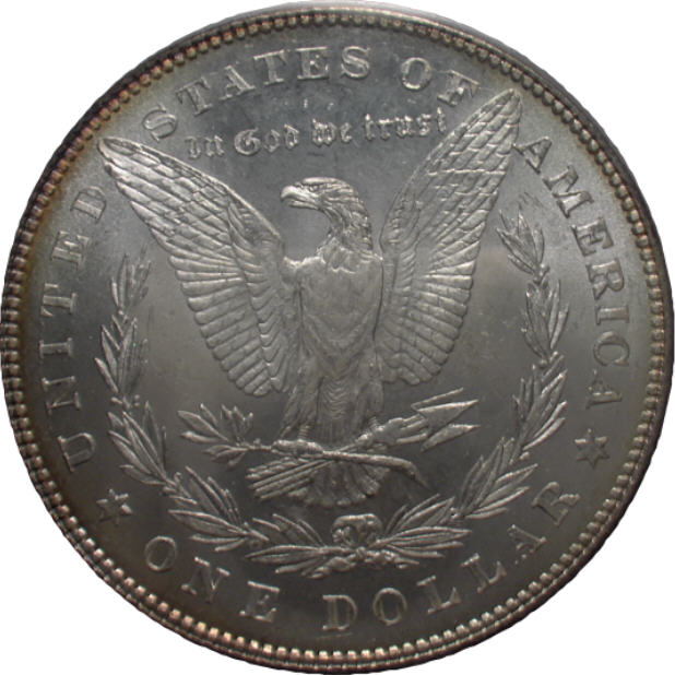 You-Vs.-ANACS-Grading-1880-O-Morgan.