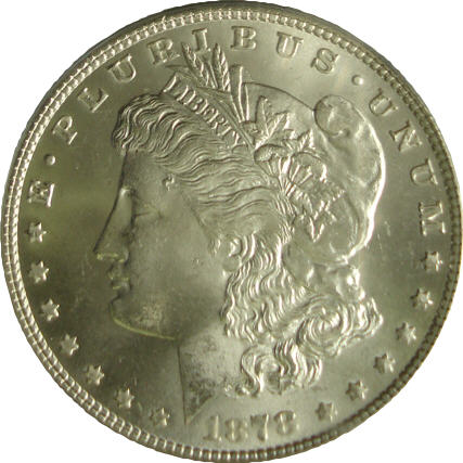 You-Vs.-ANACS-Grading-1880-O-Morgan.