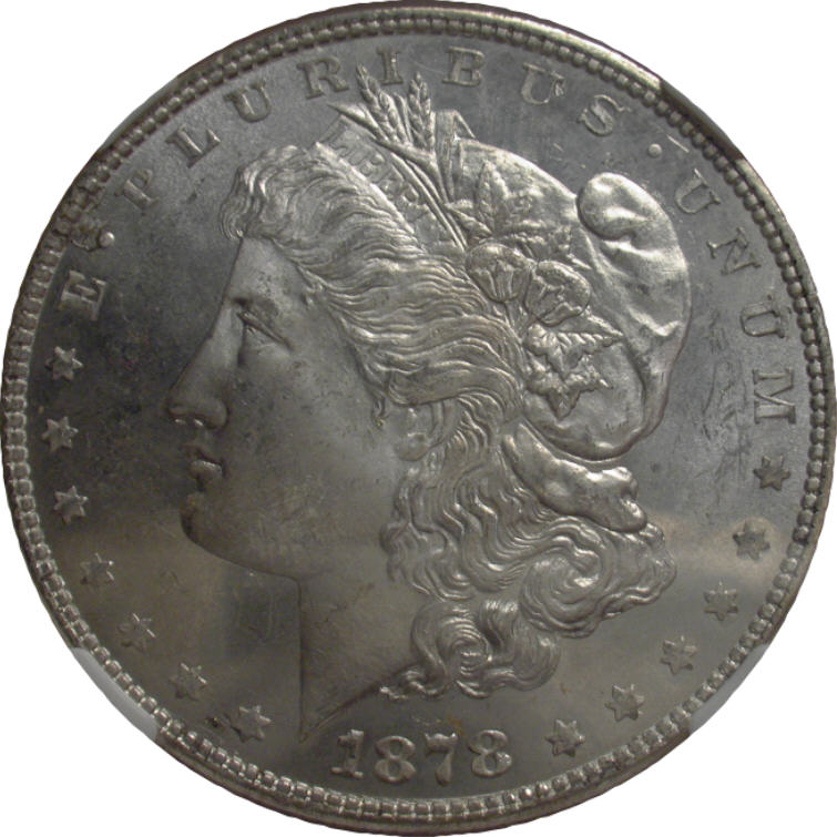 Another-Ebay-Purchase