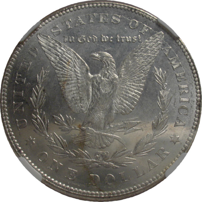 Another-Ebay-Purchase