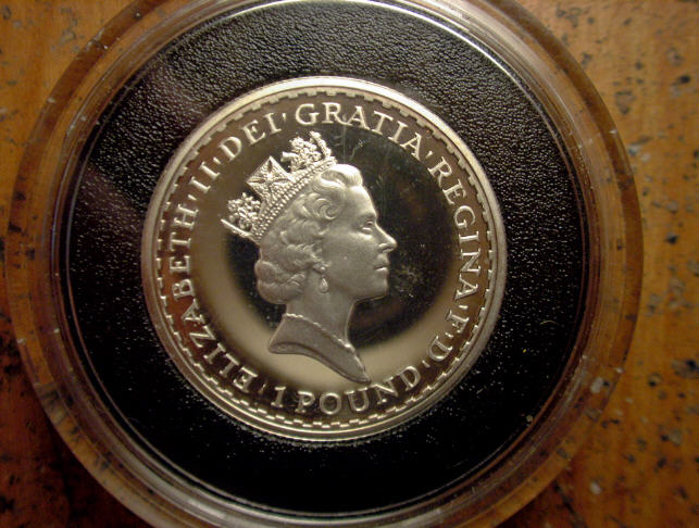 My-Gorgeous-New-Silver!