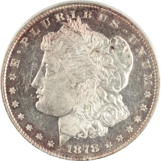 1888-Morgan-Blue-Toned--Wow!