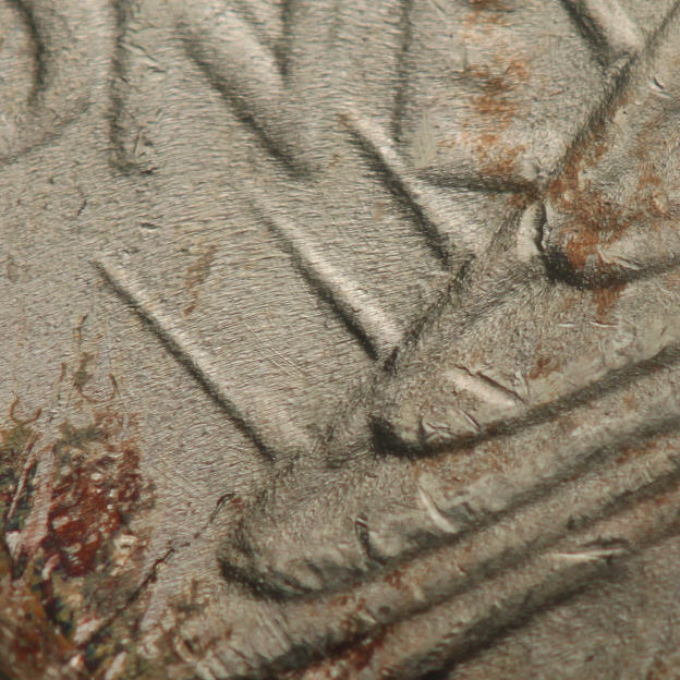 Looking-For-Peace-Dollar-Suggestions