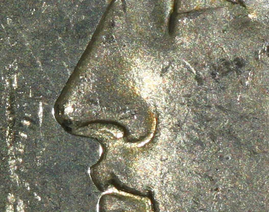Seatednut