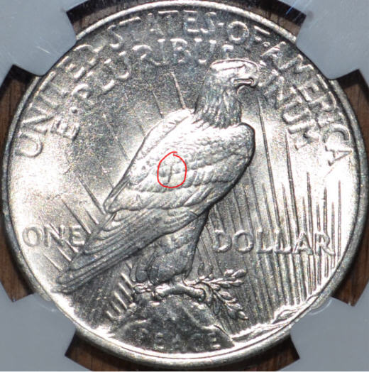 1924-Peace-Dollar,-Possible-VAM?