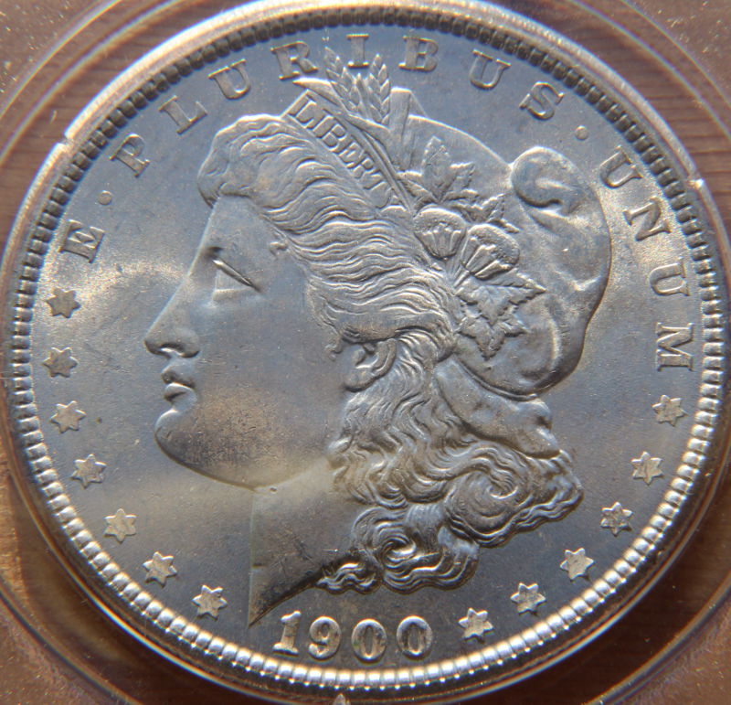 Grade-For-This-1900-Morgan-Dollar,-Please-.-.-.