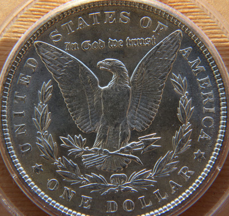 Grade-For-This-1900-Morgan-Dollar,-Please-.-.-.