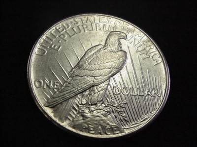 Looking-For-Opinions-On-Grading-1921-Peace-Dollar