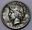 Looking-For-Opinions-On-Grading-1921-Peace-Dollar