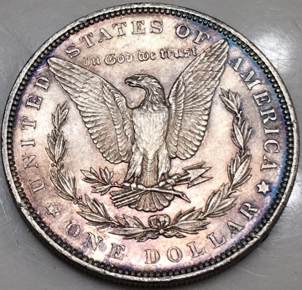 1889-Morgan-Dollar---How-Would-You-Grade-It?