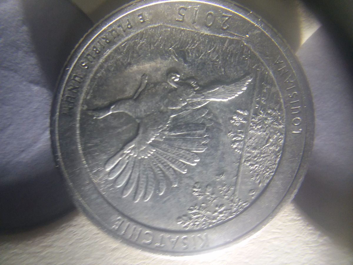 Question-2009-Lincoln-Cent-1c-DDR