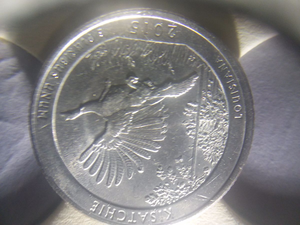 Question-2009-Lincoln-Cent-1c-DDR