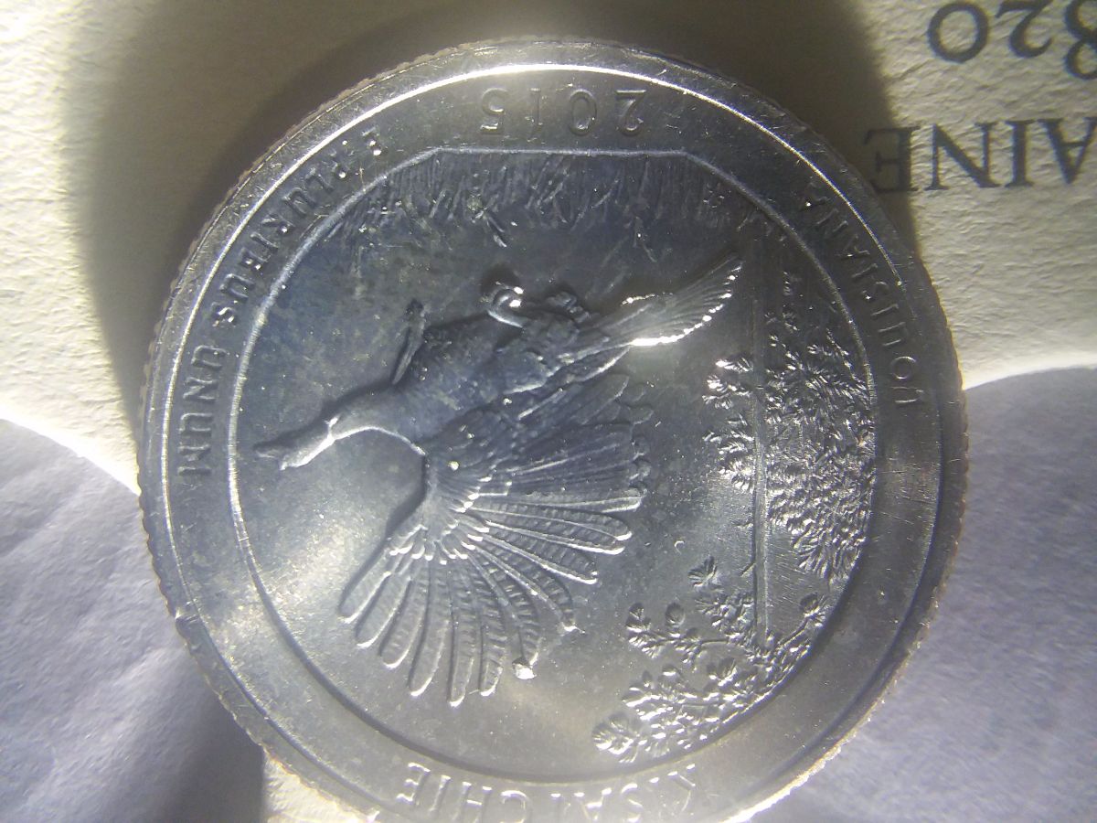Question-2009-Lincoln-Cent-1c-DDR