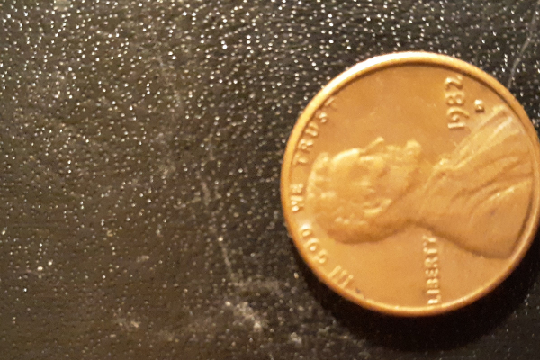 Can-Anyone-Tell-Me-If-This-Is-A-Large-Date-Or-Small-1982-D-LMC-Please