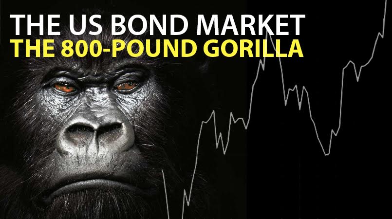 The-US-Bond-Market-�-The-800-Pound-Gorilla
