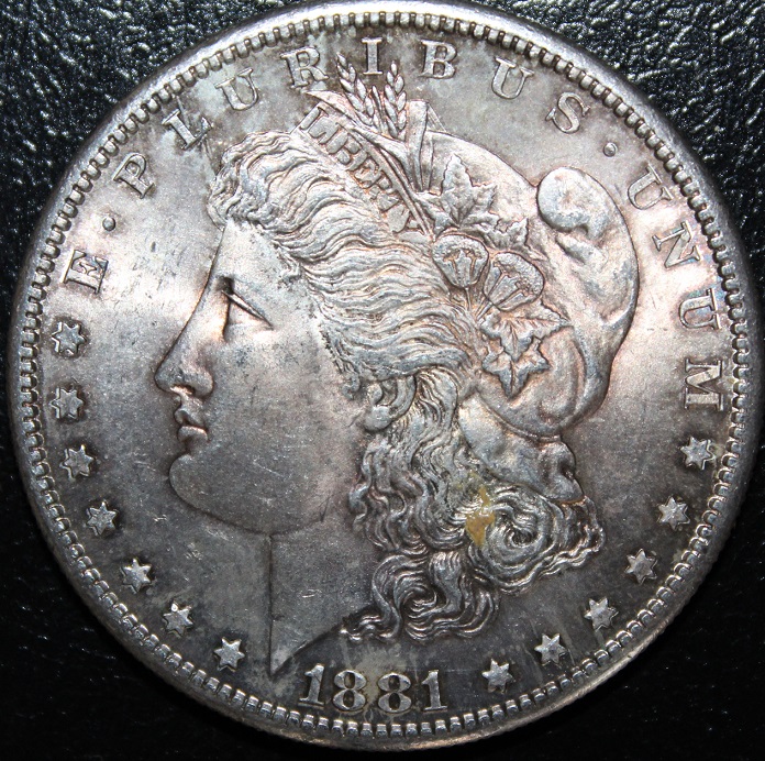 1881-S-Morgan-For-Opinions
