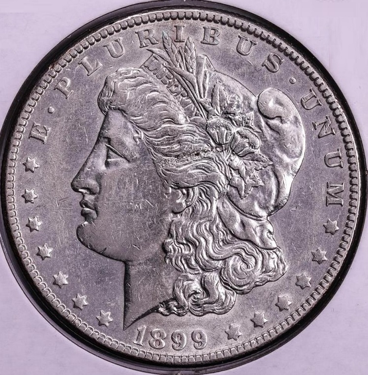 Grade-Request-For-1899-O-Morgan